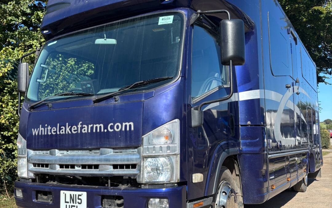 7.5 ton 3 horse Isuzu N75 190 £38,000 SOLD